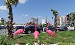 İzmir yaza rengarenk giriyor: Yılbaşından bu yana 1 milyon bitki dikildi