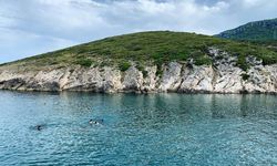 İzmir'de çocuklu aileler bu sahili tercih ediyor: Dalgasız çarşaf gibi