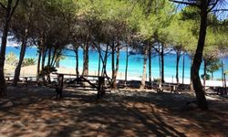 İzmir’de hem deniz hem piknik keyfi: Çeşme’nin saklı kaçış noktası