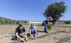 İzmir'de Tarım Master Planı'nda sona gelindi! Modern yöntemler masada