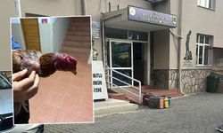 Jandarmayı gören kaçacak yer aradı: İzmir Bayındır'da tribünlü horoz dövüşü operasyonu