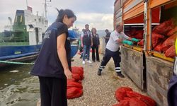 İzmir'de eş zamanlı su ürünleri denetimi! Tonlarca midye ele geçirildi