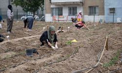 Bornova'nın kadın emeği Avrupaya tanıtıldı: "Kent bostanları uluslararası dayanışmayı güçlendiren örnek bir model "