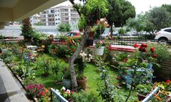 Karşıyaka'da çiçek dolu günler geliyor! Festival için tarih ve yer belli oldu