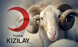 Kızılay kurban bağışı ne kadar 2026? Kızılay kurban vekaleti nasıl verilir?
