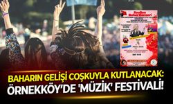 Baharın gelişi coşkuyla kutlanacak: Örnekköy’de 'müzik' festivali!