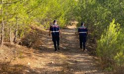 Manisa’da traktör kazası can aldı: Bağda çalışan sürücü yaşamını yitirdi