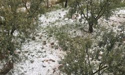 Manisa’da yaz ortasında kış manzarası! Bir yandan sağanak bir yandan dolu vurdu