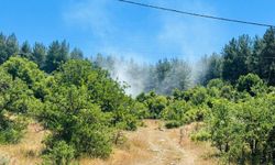 Muğla'da orman yangını! Ekipler zamanla yarıştı
