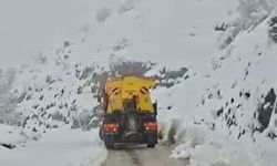 İzmir'de bahar yerini kara bıraktı!