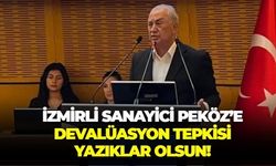 Sanayici Remzi Peköz'ün ''Devalüasyon şart'' çağrısına ekonomist İris Cibre'den tepki var: Yazıklar olsun!