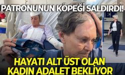 İzmir Bornova'da patronunun köpeğinin saldırısına uğrayan kadın adalet mücadelesi veriyor