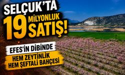 Selçuk’ta 19 milyonluk satış! Efes’in dibinde hem zeytinlik hem şeftali bahçesi