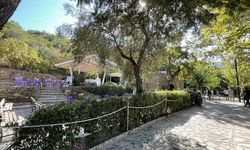 Selçuk'taki tabiat parkı hangisi, nerede yer alıyor?