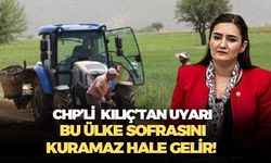 CHP'li Sevda Erdan Kılıç çiftçilerin sesi oldu! Bu nasıl bir düzendir ki, üreten kaybediyor, ithal eden kazanıyor