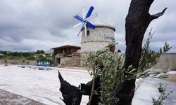 Türkiye'de aktif olan 7 değirmenden birisi İzmir Seferihisar'da zamana karşı direniyor!