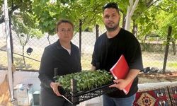 Urla Belediyesi'nden 100 bin adet yazlık sebze fidesi desteği!