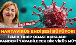 Hantavirüs endişesi büyüyor! İzmir Tabip Odası açıkladı: Pandemi yapabilecek bir virüs mü?