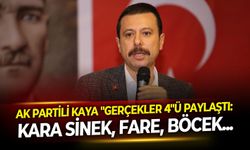 AK Partili Kaya "Gerçekler 4"ü paylaştı: Kara sinek, fare, böcek...