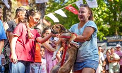 Torbalı’da patili festival: 32 can dostu yuva buldu, 100 dönümlük müjde geldi!