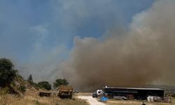 Çanakkale Ezine’de orman yangını: Ekipler havadan ve karadan müdahale ediyor