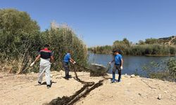 Aliağa’da kaçak avcılığa geçit yok: Güzelhisar Çayı’nda 50 metrelik yasa dışı ağ ele geçirildi