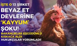 Beyaz et devlerine ‘kayyum’ şoku! Bakanlıklar eşgüdümlü kıskaca aldı, hukukçular yorumladı!