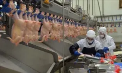 Beyaz et soruşturmasında yeni gelişme: 29 şüpheli serbest!