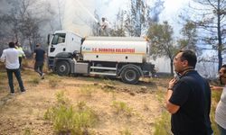 Bornova'da temizlenen kuru otlar çöpe değil doğaya geri dönüyor!