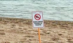 İzmir'de deniz girmek yasak mı? İşte yasaklanan ilçeler