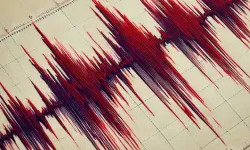 7.8 büyüklüğünde deprem! Devlet Başkanı'ndan tsunami uyarısı!
