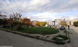Güzel İzmir Hareketi Buca'da sahaya indi!