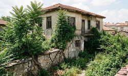 Hem bahçeyi hem evi ele geçiriyor: Temeli çatlatan 4 bitki