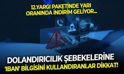 12.Yargı paketinde yarı oranında indirim geliyor: Dolandırıcılık şebekelerine 'IBAN' bilgisini kullandıranlar dikkat!