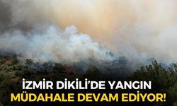 İzmir Dikili'de yangın! Müdahale sürüyor!