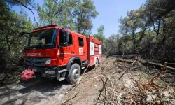 Çeşme'de korkutan yangın! Alevler makilik alana sıçradı