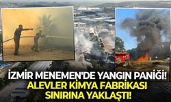 İzmir Menemen'de yangın paniği! Alevler kimya fabrikası sınırına yaklaştı!