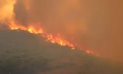 İzmir'de ormana yakın yerleşimler risk oluşturuyor!