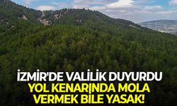 İzmir'de Valilik duyurdu: Yol kenarında mola vermek bile yasak!