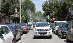 Konak'ta 111 mahallede sivrisinekle mücadele başladı!