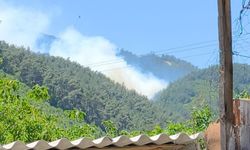 Manisa'da orman yangını paniği! Rüzgarla büyüyen alevlere müdahale sürüyor