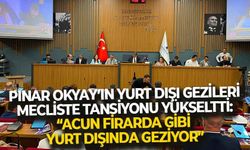 Büyükşehir Meclisi'nde, Okyay'ın yurt dışı gezileri tansiyonu yükseltti!