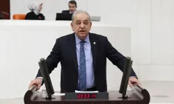 Nalbantoğlu’ndan "Dinozor" resti: "Asıl fosilleşen şey yaş değil, düşünce dünyanızdır!"