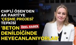CHP’li Ösen’den AK Parti’ye 'Çeşme Projesi’ tepkisi: Beton denilince heyecanlanıyorlar!