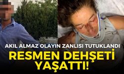 Selçuk'ta hayvansevere dehşeti yaşattı! O zanlı tutuklandı