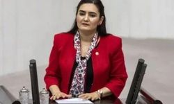 İzmirli vekil Kılıç'ın isyanı: Rahmetli babama, sınava giren oğluma kadar uzanan beddular var