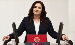 Sevda Erdan Kılıç'tan 'Çerçeve Yasa' açıklaması: "İmzamız açık bir çek değil, tarihi sorumluluktur"
