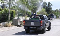 Vatandaş istiyor ekipler müdahale ediyor: Bayraklı’da larva ve haşere avı başladı