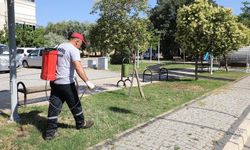 Menderes’te çocuklar güvenle oynasın diye: Haşerelere karşı ilaçlı önlem!