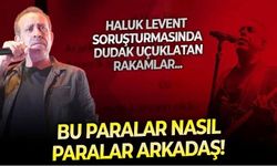 Haluk Levent soruşturmasında sürpriz suçlama: Saygın bir sanatçı dedim, 70 milyon dolar dolandırıldım!